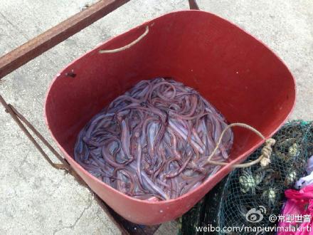 我的微语录周记2014-06-02---2014-06-04