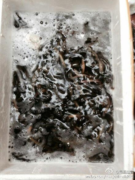 我的微语录周记2014-06-02---2014-06-04