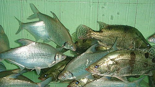 最開心的用錢方法