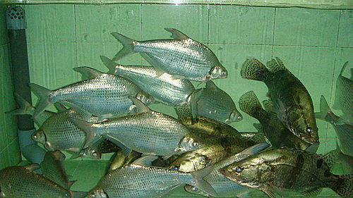 最開心的用錢方法