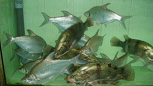 最開心的用錢方法