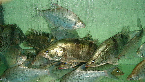 最開心的用錢方法