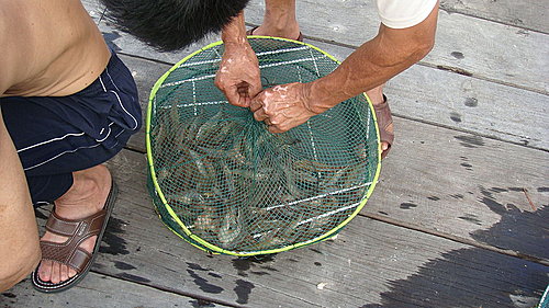 佛歡喜日佛歡喜