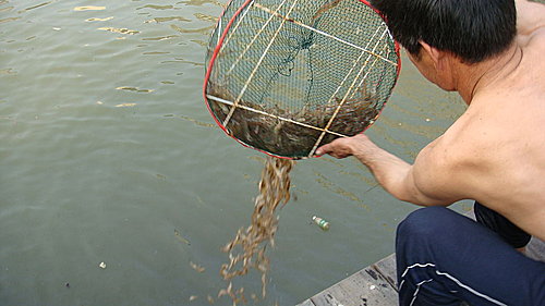 佛歡喜日佛歡喜