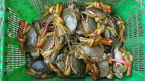 佛歡喜日佛歡喜