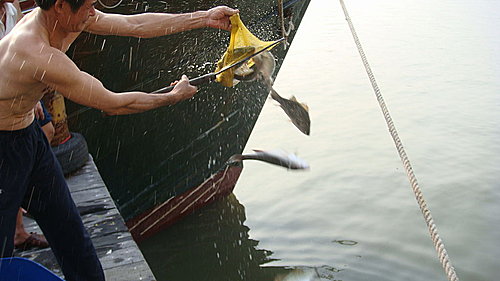 佛歡喜日佛歡喜