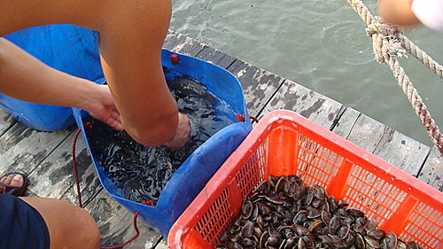 佛歡喜日佛歡喜