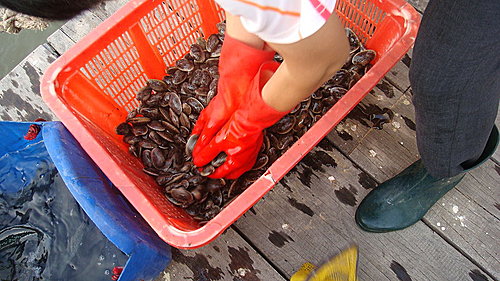 佛歡喜日佛歡喜