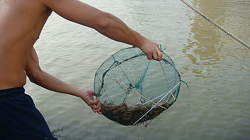 佛歡喜日佛歡喜