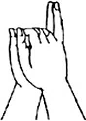 佛母大孔雀明王根本心印详解