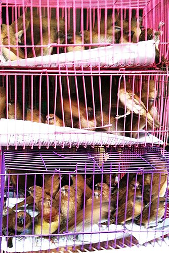 自由自在的深意