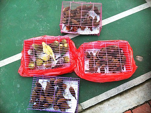 自由自在的深意