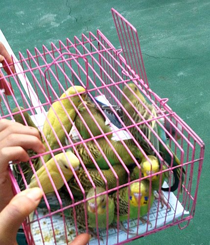 自由自在的深意