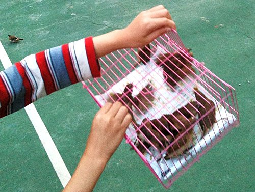 自由自在的深意