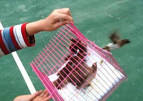 自由自在的深意