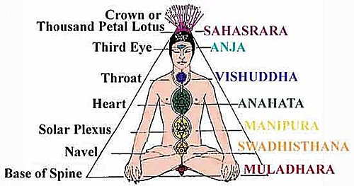 人体微细身之结构