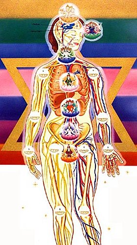 人体微细身之结构