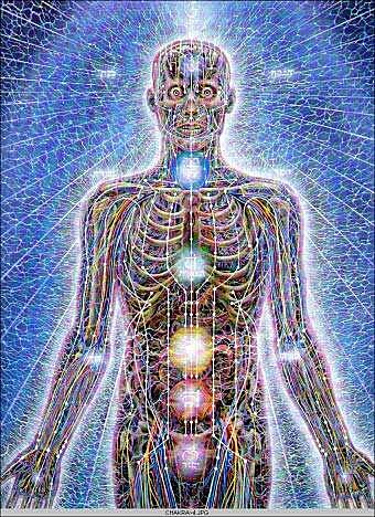 人体微细身之结构