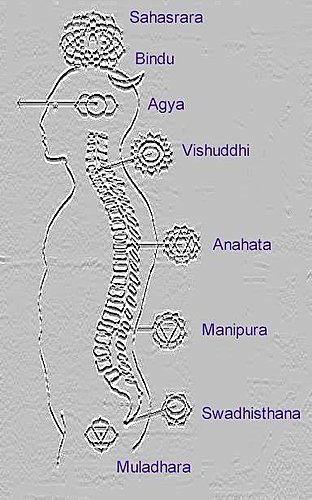 人体微细身之结构