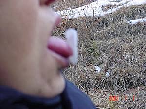 耶稣圣体的奇迹