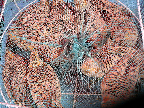 閒中立品無人覺