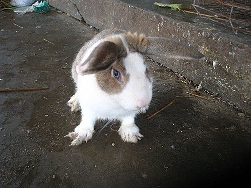 閒中立品無人覺