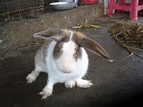 閒中立品無人覺