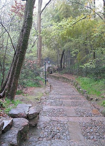 須憑名劍悼英雄