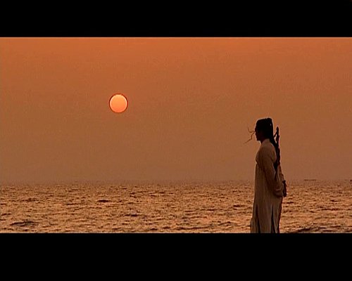 何當孔雀開屏日　再喚春風在眼前