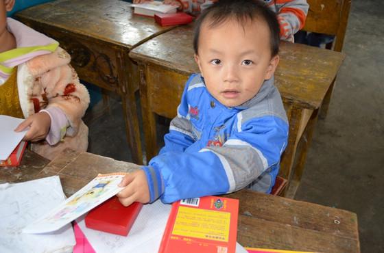 善心莲心字典王家村小学发放小结