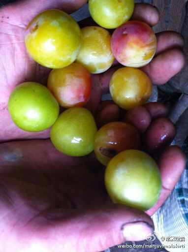 [转载]善心莲心医疗队第三次进入四川雅安灾区义诊送药及为灾民同胞安装净水设备大型报