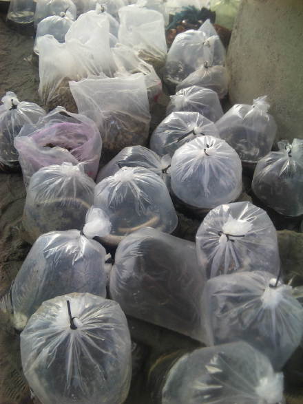 一種堅持一個信念一切改變