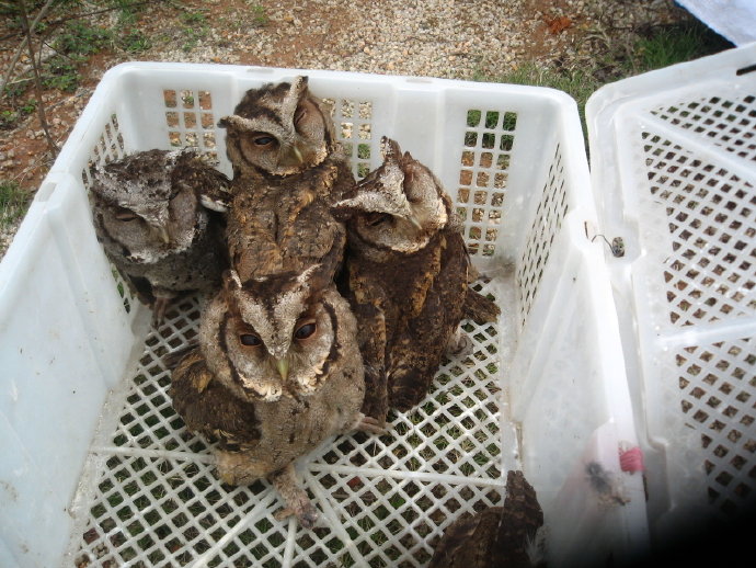 有苦，就有我！