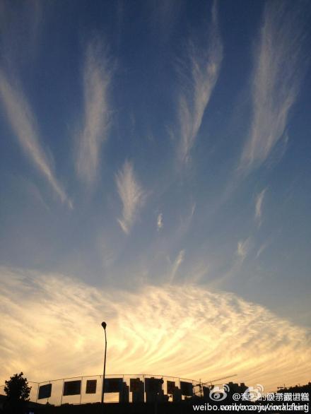 孔雀军团加持重庆