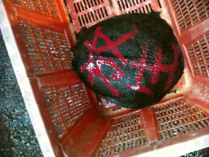 成佛就是如此簡單