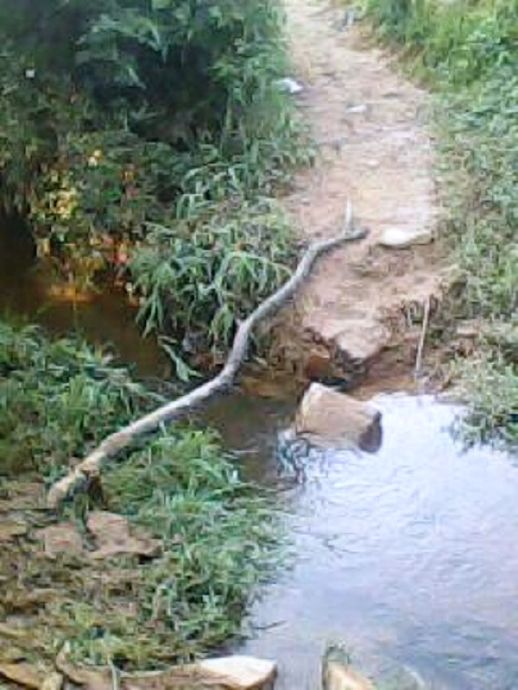 用慈悲、用大愛，去做我們彼此的蓮心橋！