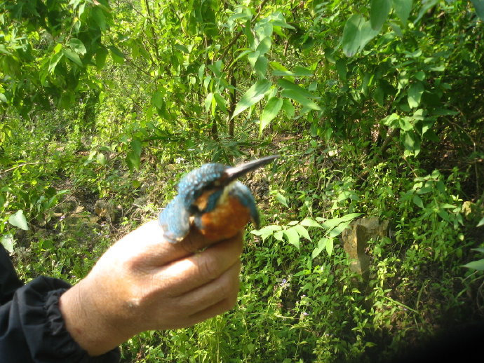 有苦，就有我！