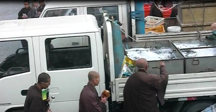 善心蓮心禮請遼寧海城大悲寺全體法師主持救劫大放生