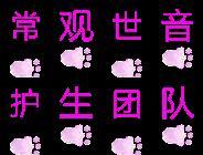 新年放生最吉祥