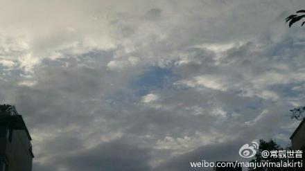 孔雀开屏，孔雀军团示现，振奋人心！