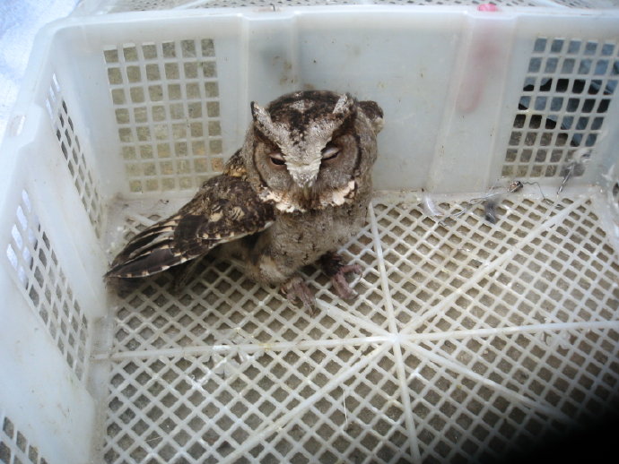 有苦，就有我！