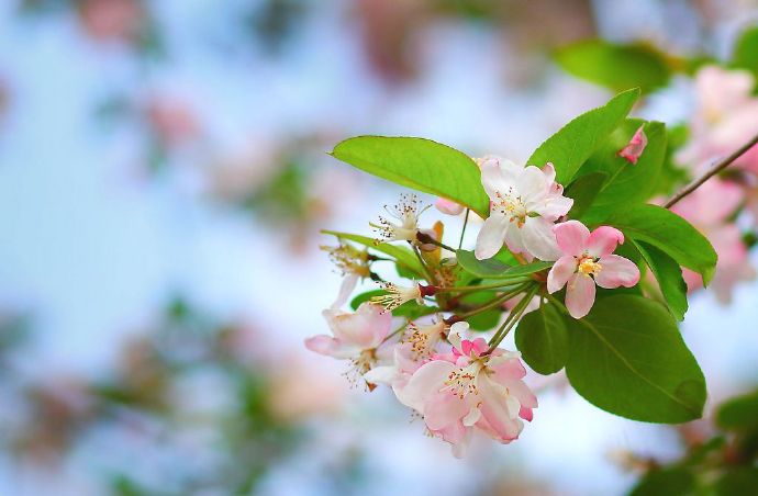 這份感激廿年來&nbsp;<wbr>放在心底口難開