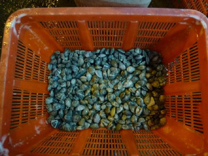 很多人仍然不相信我的話－放生可以成佛