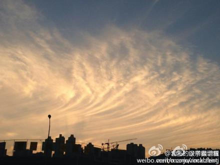 孔雀军团加持重庆