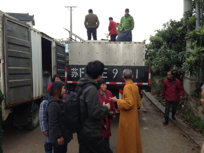 善心莲心联合苏州弘化社举行大型放生