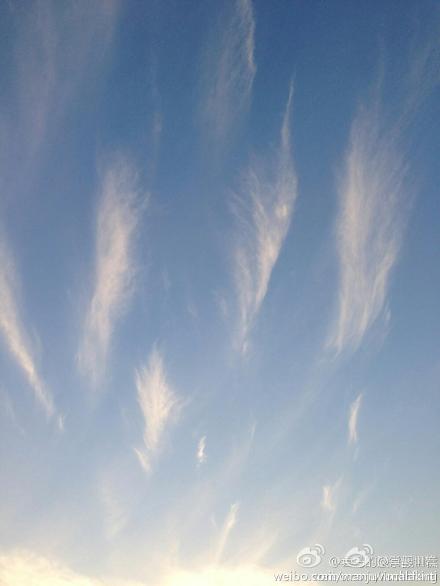 孔雀军团加持重庆