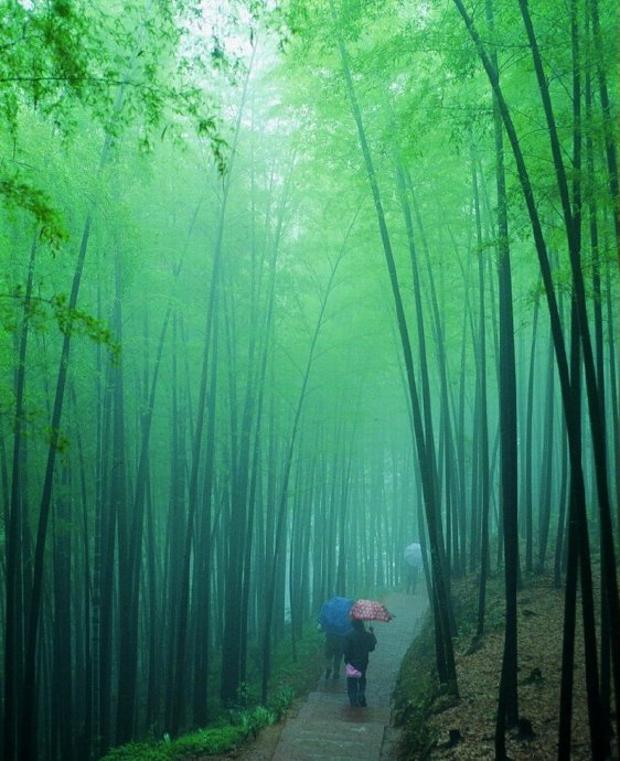 亂世修行要經風雨