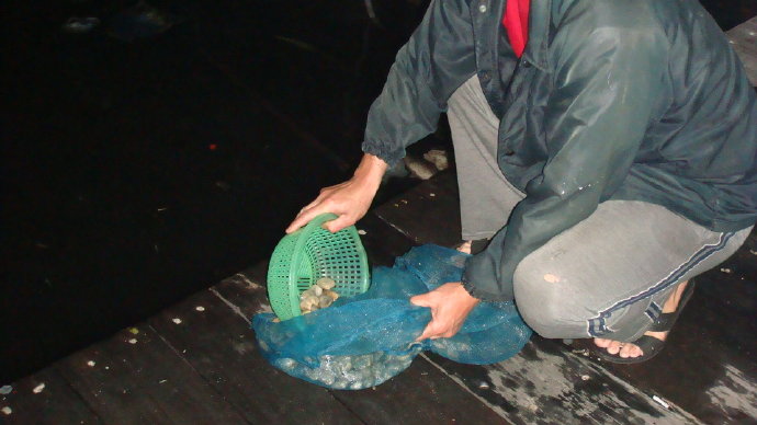 那光音注入我生命-從放生中找到人生的真意義