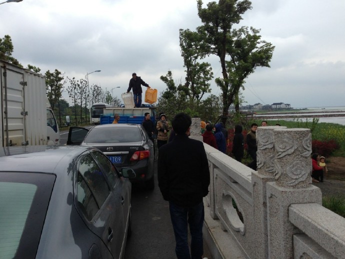 善心莲心联合苏州弘化社举行大型放生