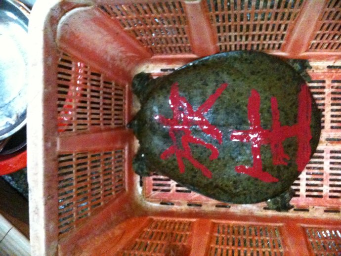 成佛就是如此簡單